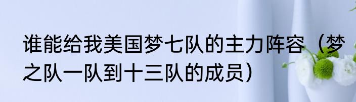 谁能给我美国梦七队的主力阵容（梦之队一队到十三队的成员）