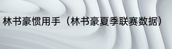 林书豪惯用手（林书豪夏季联赛数据）