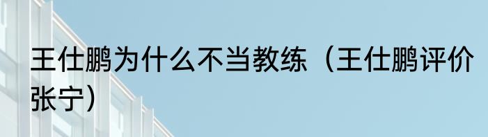 王仕鹏为什么不当教练（王仕鹏评价张宁）
