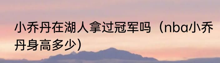 小乔丹在湖人拿过冠军吗（nba小乔丹身高多少）