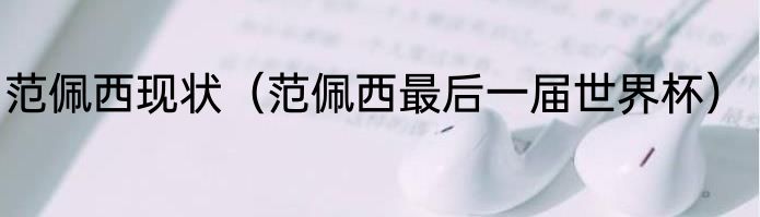 范佩西现状（范佩西最后一届世界杯）