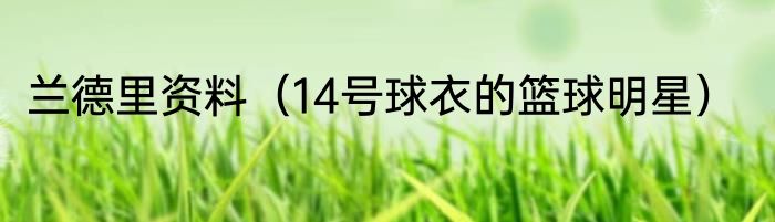 兰德里资料（14号球衣的篮球明星）