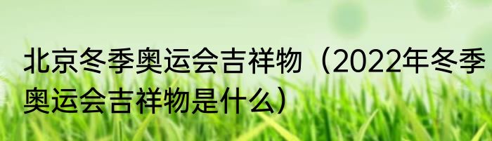 北京冬季奥运会吉祥物（2022年冬季奥运会吉祥物是什么）