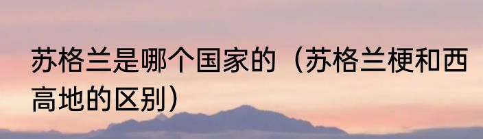 苏格兰是哪个国家的（苏格兰梗和西高地的区别）