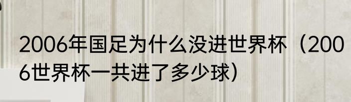 2006年国足为什么没进世界杯（2006世界杯一共进了多少球）