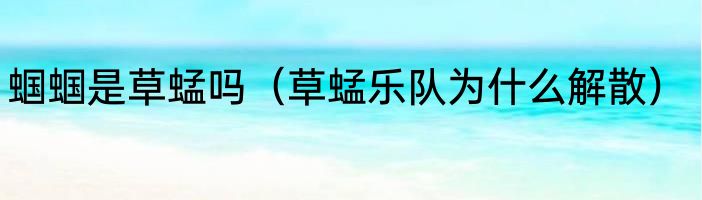 蝈蝈是草蜢吗（草蜢乐队为什么解散）