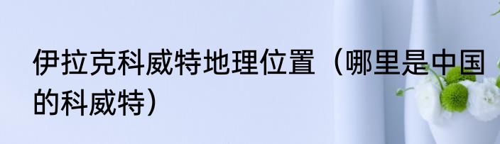 伊拉克科威特地理位置（哪里是中国的科威特）