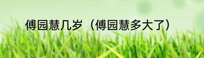 傅园慧几岁（傅园慧多大了）