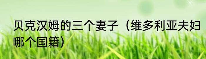 贝克汉姆的三个妻子（维多利亚夫妇哪个国籍）