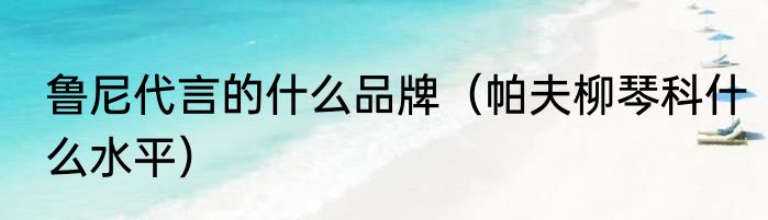 鲁尼代言的什么品牌（帕夫柳琴科什么水平）