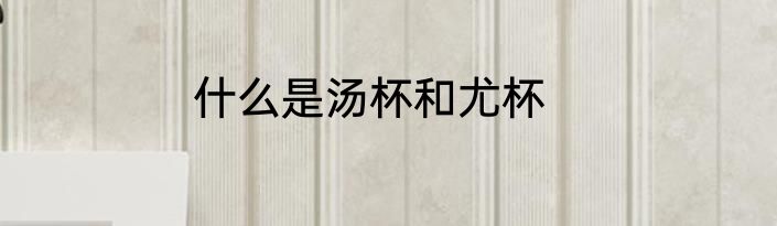 什么是汤杯和尤杯