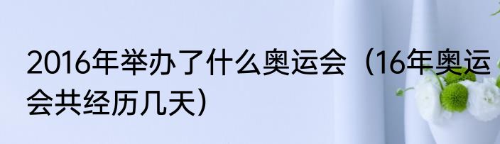 2016年举办了什么奥运会（16年奥运会共经历几天）