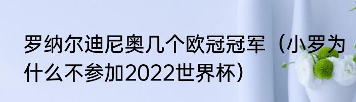 罗纳尔迪尼奥几个欧冠冠军（小罗为什么不参加2022世界杯）