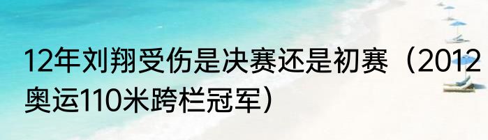 12年刘翔受伤是决赛还是初赛（2012奥运110米跨栏冠军）