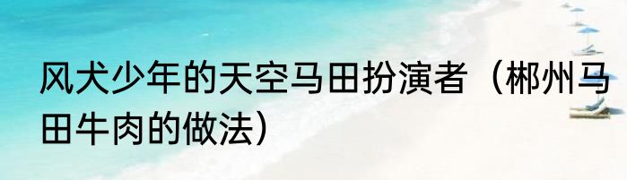 风犬少年的天空马田扮演者（郴州马田牛肉的做法）