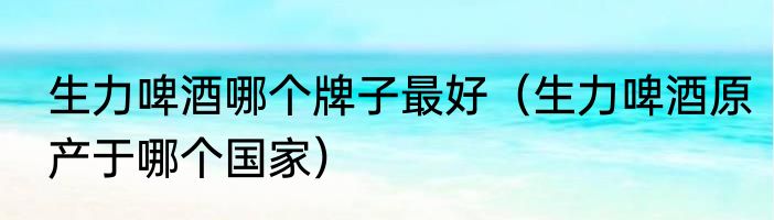 生力啤酒哪个牌子最好（生力啤酒原产于哪个国家）