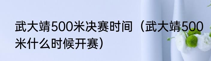 武大靖500米决赛时间（武大靖500米什么时候开赛）