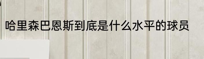 哈里森巴恩斯到底是什么水平的球员