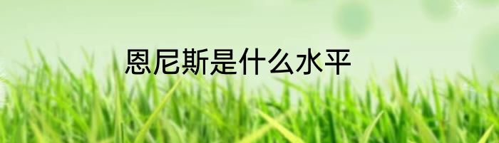 恩尼斯是什么水平