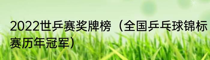 2022世乒赛奖牌榜（全国乒乓球锦标赛历年冠军）