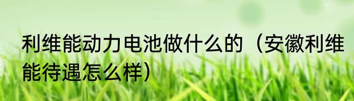 利维能动力电池做什么的（安徽利维能待遇怎么样）