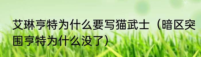 艾琳亨特为什么要写猫武士（暗区突围亨特为什么没了）