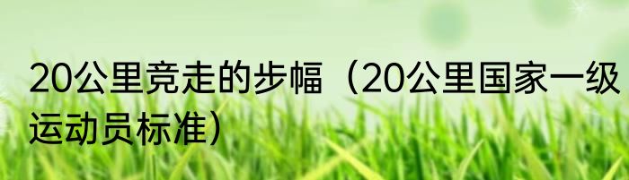 20公里竞走的步幅（20公里国家一级运动员标准）