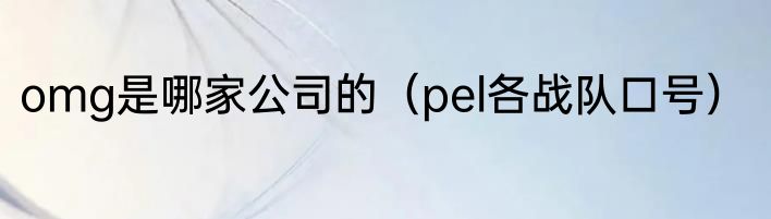 omg是哪家公司的（pel各战队口号）