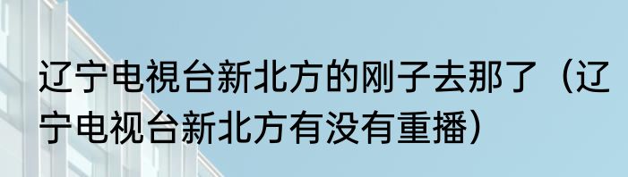 辽宁电視台新北方的刚子去那了（辽宁电视台新北方有没有重播）