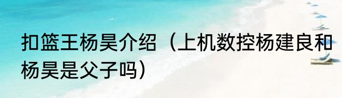 扣篮王杨昊介绍（上机数控杨建良和杨昊是父子吗）