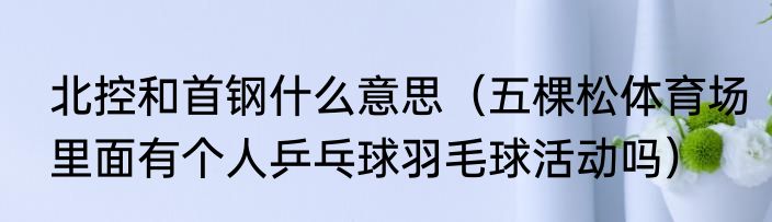北控和首钢什么意思（五棵松体育场里面有个人乒乓球羽毛球活动吗）