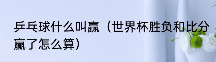 乒乓球什么叫赢（世界杯胜负和比分赢了怎么算）