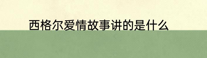 西格尔爱情故事讲的是什么