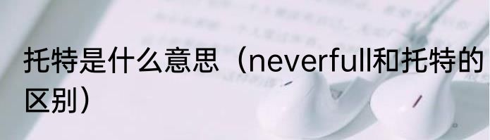 托特是什么意思（neverfull和托特的区别）