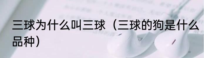 三球为什么叫三球（三球的狗是什么品种）