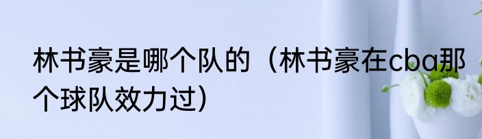 林书豪是哪个队的（林书豪在cba那个球队效力过）