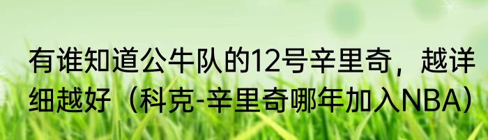 有谁知道公牛队的12号辛里奇，越详细越好（科克-辛里奇哪年加入NBA）