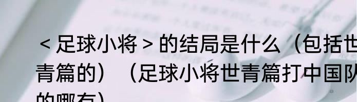 ＜足球小将＞的结局是什么（包括世青篇的）（足球小将世青篇打中国队的哪有）