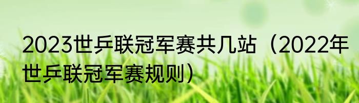 2023世乒联冠军赛共几站（2022年世乒联冠军赛规则）