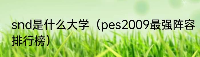 snd是什么大学（pes2009最强阵容排行榜）