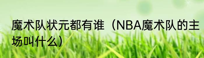 魔术队状元都有谁（NBA魔术队的主场叫什么）