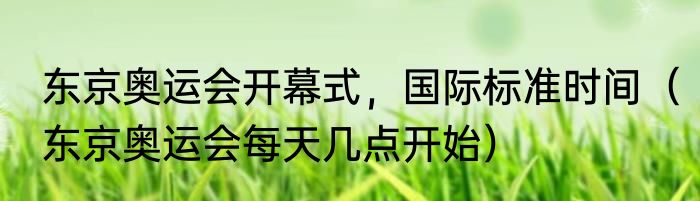 东京奥运会开幕式,国际标准时间(东京奥运会每天几点开始)