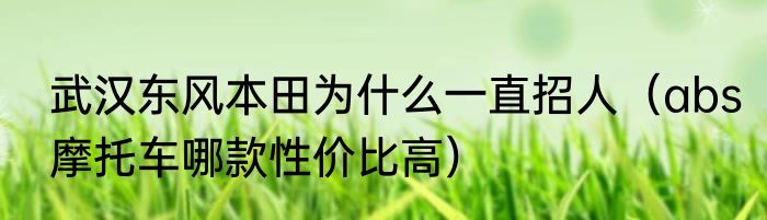 武汉东风本田为什么一直招人（abs摩托车哪款性价比高）