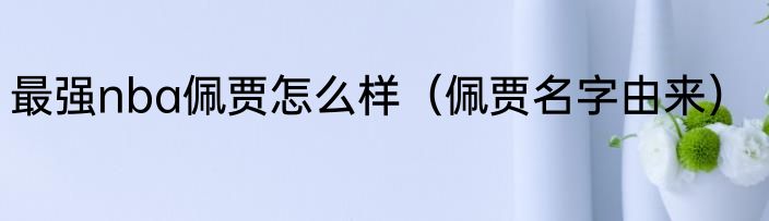 最强nba佩贾怎么样（佩贾名字由来）