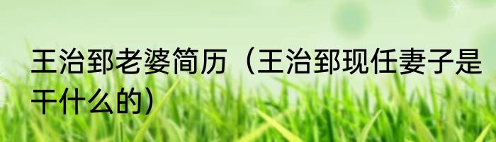 王治郅老婆简历（王治郅现任妻子是干什么的）