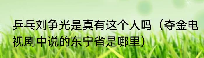 乒乓刘争光是真有这个人吗（夺金电视剧中说的东宁省是哪里）