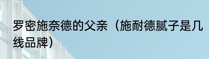 罗密施奈德的父亲（施耐德腻子是几线品牌）
