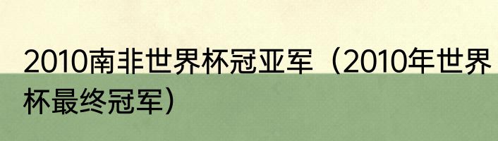 2010南非世界杯冠亚军（2010年世界杯最终冠军）
