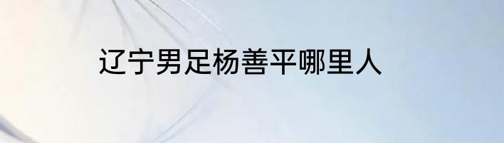 辽宁男足杨善平哪里人