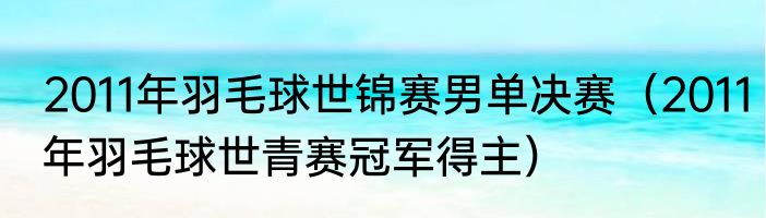 2011年羽毛球世锦赛男单决赛（2011年羽毛球世青赛冠军得主）